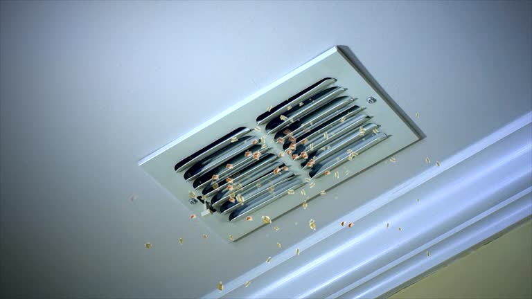 Best Affordable Duct Cleaning Services  in Lady Lake, FL