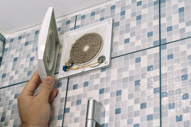 Best Air Duct Sanitizing Services  in Lady Lake, FL
