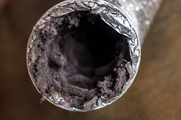 Best Air Duct Cleaning Near Me  in Lady Lake, FL