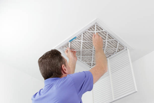 Best Ductwork Cleaning Services  in Lady Lake, FL